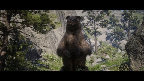 荒野大镖客狗熊怎么打[图2]