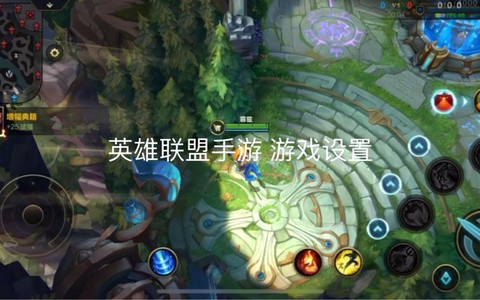 英雄联盟手游能设置什么