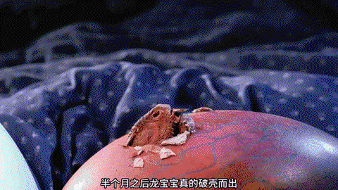 神奇宝贝宝贝龙怎么生蛋[图2]