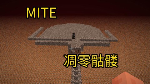 我的世界怎么刷凋零[图1]