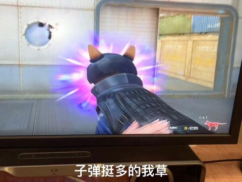 穿越火线猫猫枪怎么弄[图1]