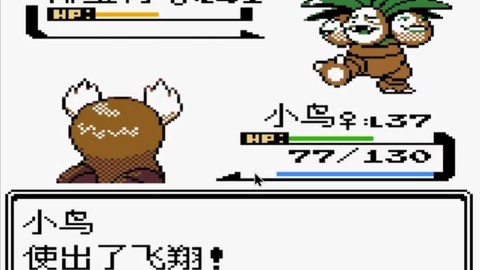 口袋妖怪四大天王怎么打