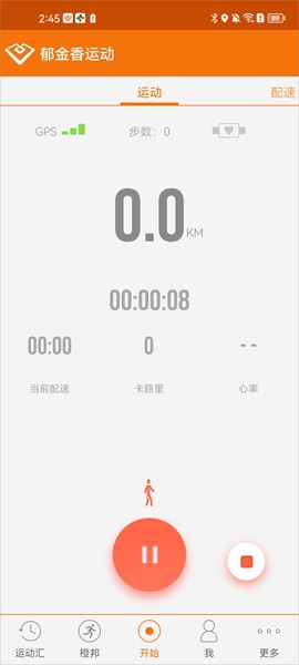 郁金香运动[图2]