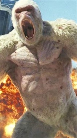 哥斯拉金刚王国[图1]