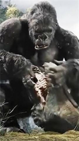 哥斯拉金刚王国[图2]