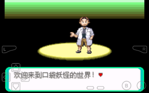 口袋妖怪罪恶的世界图3