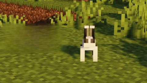 我的世界怎么养兔子