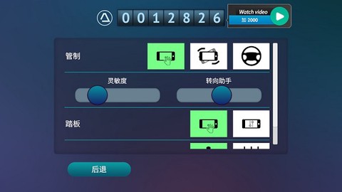 真人汽车驾驶[图1]