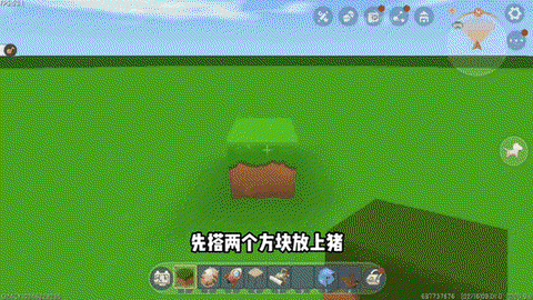 迷你世界怎么喂养猪