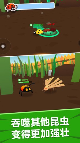 昆虫进化模拟器2图1
