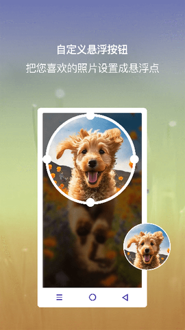 小白点虚拟按键图1