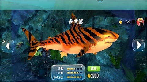 疯狂动物大作战[图1]