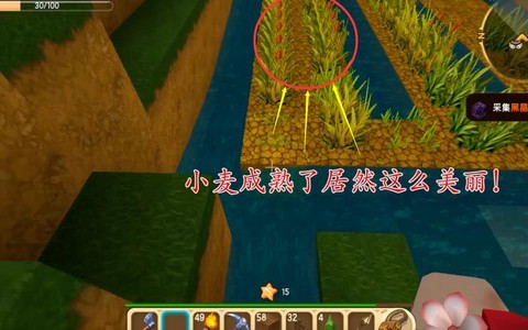 迷你世界如何收获小麦