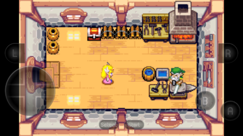 塞尔达传说：缩小帽[图7]