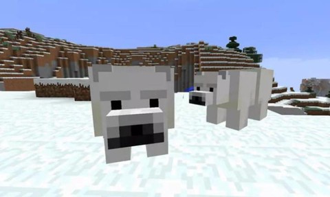 我的世界北极熊怎么训[图1]