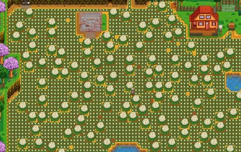 星露谷物语蕨菜怎么得