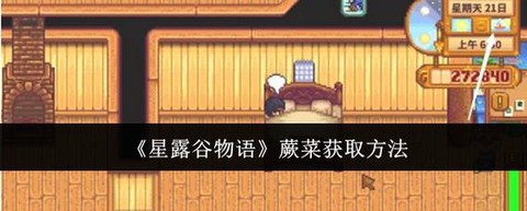星露谷物语蕨菜怎么得[图1]