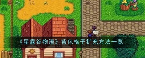 星露谷物语背包怎么升级[图1]