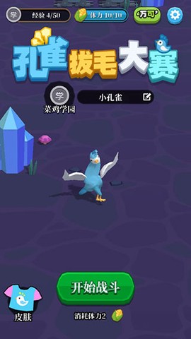 孔雀拔毛大赛[图2]