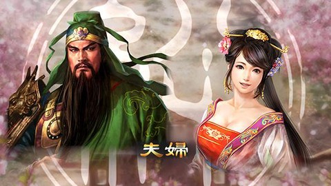 三国志13怎么看怀孕