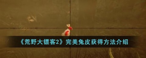 荒野大镖客如何完美皮[图1]