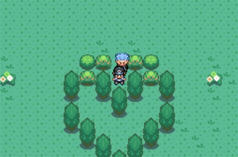 口袋妖怪：日月宝石八木特别篇图3