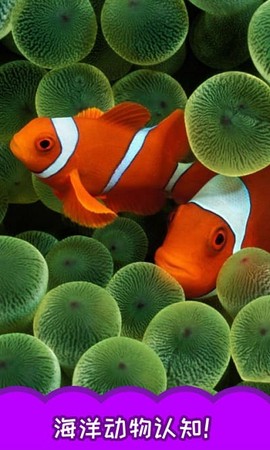 儿童大鱼吃小鱼[图1]