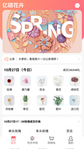 亿硕花卉图3