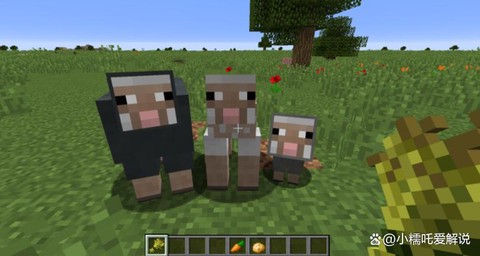 我的世界小白怎么驯服