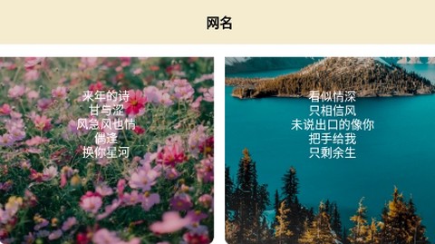 菜鸟写作工具[图1]