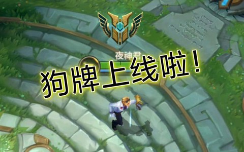 英雄联盟狗牌怎么亮[图2]