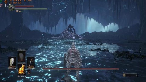 黑暗之魂3怎么捡东西[图1]