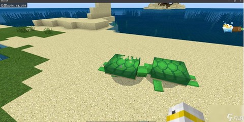 我的世界海龟蛋怎么孵