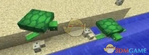 我的世界海龟蛋怎么孵[图1]