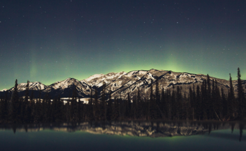 AI趣酷相机[图3]