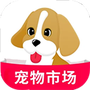 宠物市场
