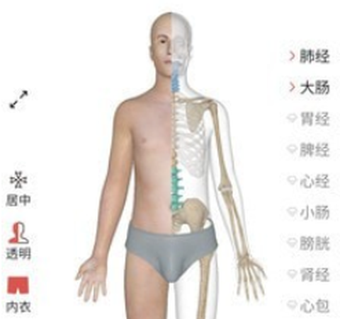 经络穴位AR[图1]