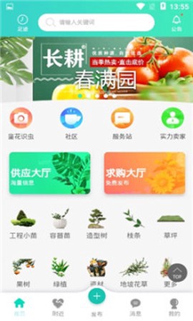 苗搭档图1