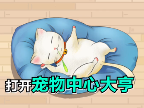 宠物中心大亨[图3]