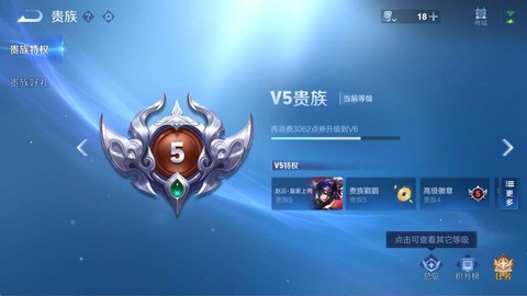 王者荣耀如何隐藏贵族