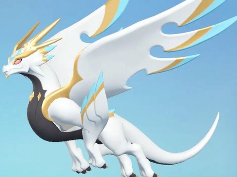 神奇宝贝什么时候更新[图1]