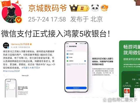 ios王者荣耀怎么用微信支付