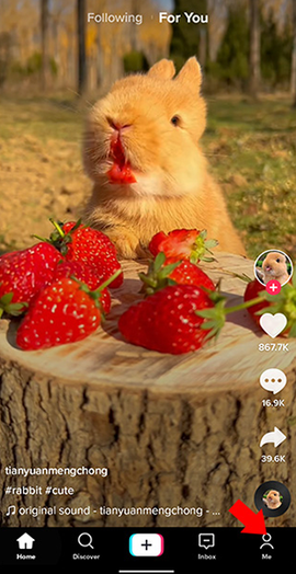 抖音海外版tiktok免费安装[图4]