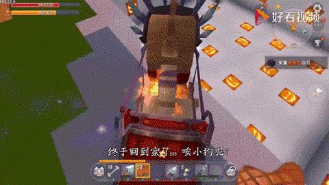 迷你世界怎么驯服狼