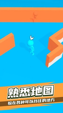 伪装躲猫猫[图1]