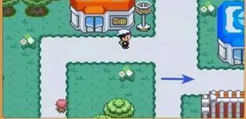 口袋妖怪漆黑的魅影图3