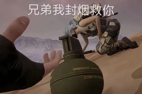 绝地求生offline什么意思