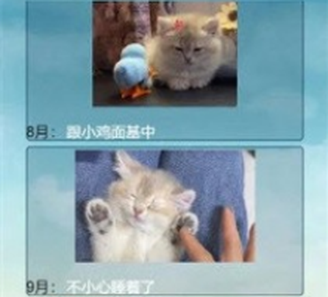 猫的一生重启模拟器[图2]