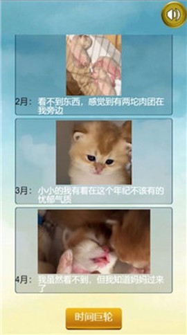 猫的一生重启模拟器图2