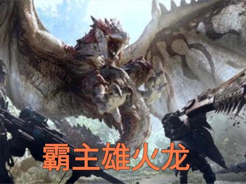 怪物猎人2g雄火龙弱什么